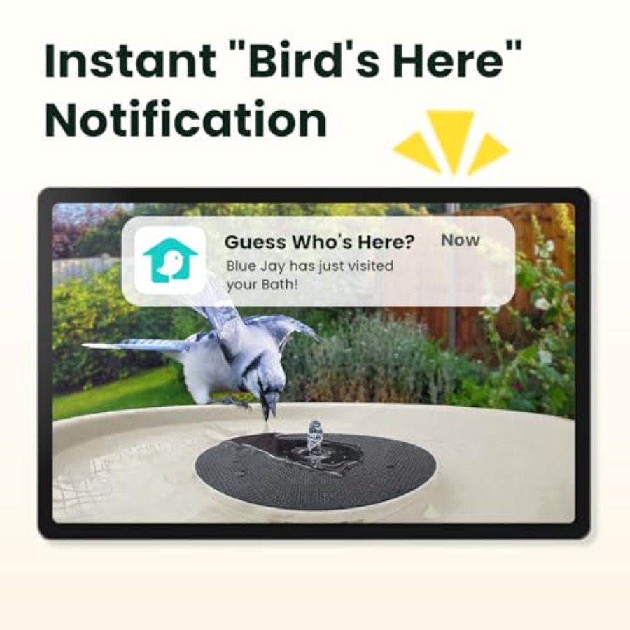 Bird Watching Smart Bird Bath  - مراجعة Watch Smartwatch وسعره