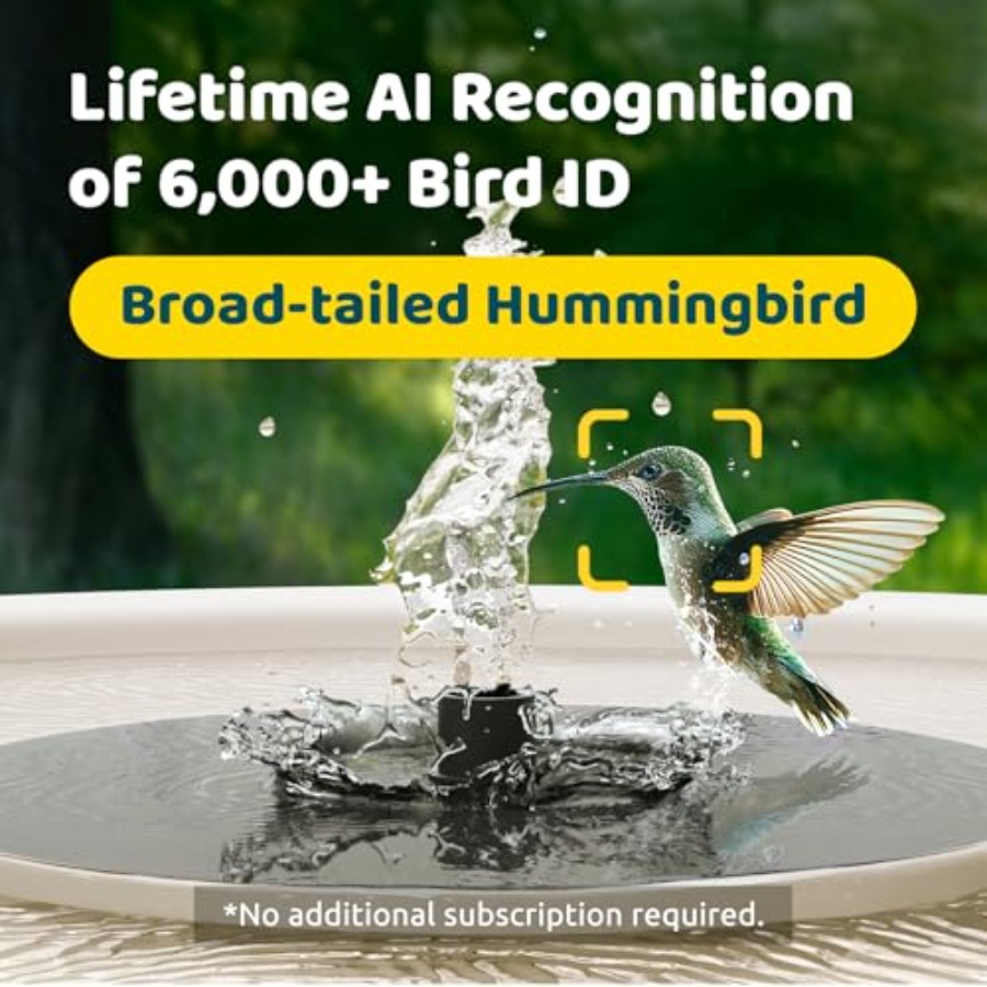 Bird Watching Smart Bird Bath  - مراجعة Watch Smartwatch وسعره